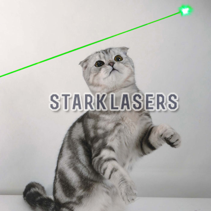 laserpointer katze