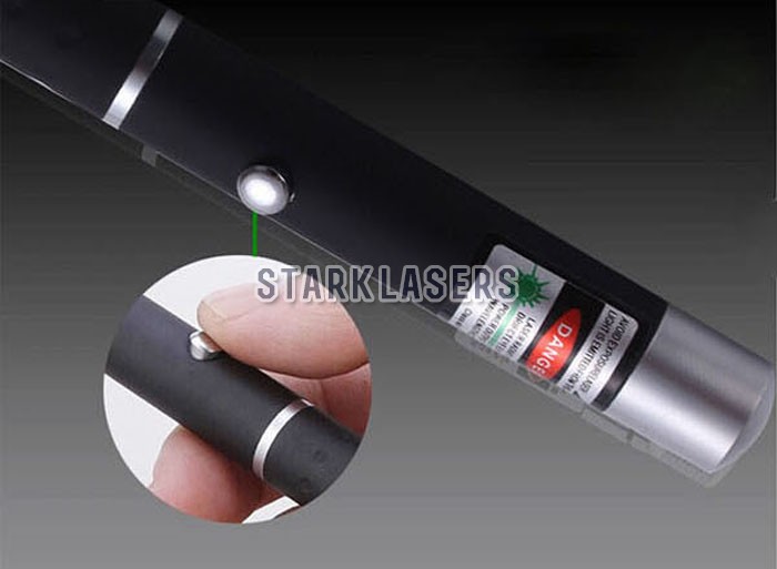 laserpointer katze