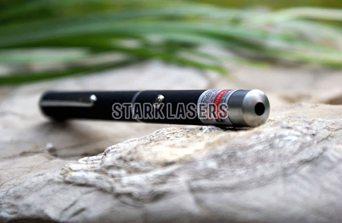 laserpointer katze kaufen