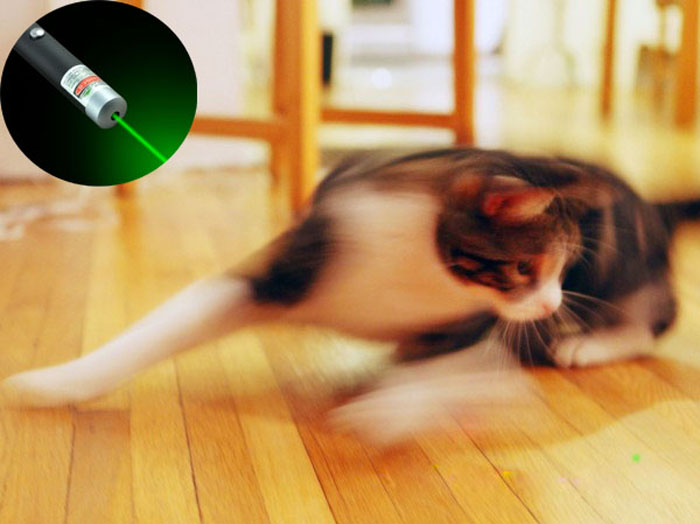 Laserpointer für Katzen