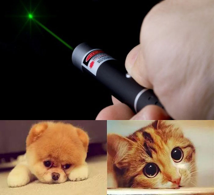 laser katzenspielzeug